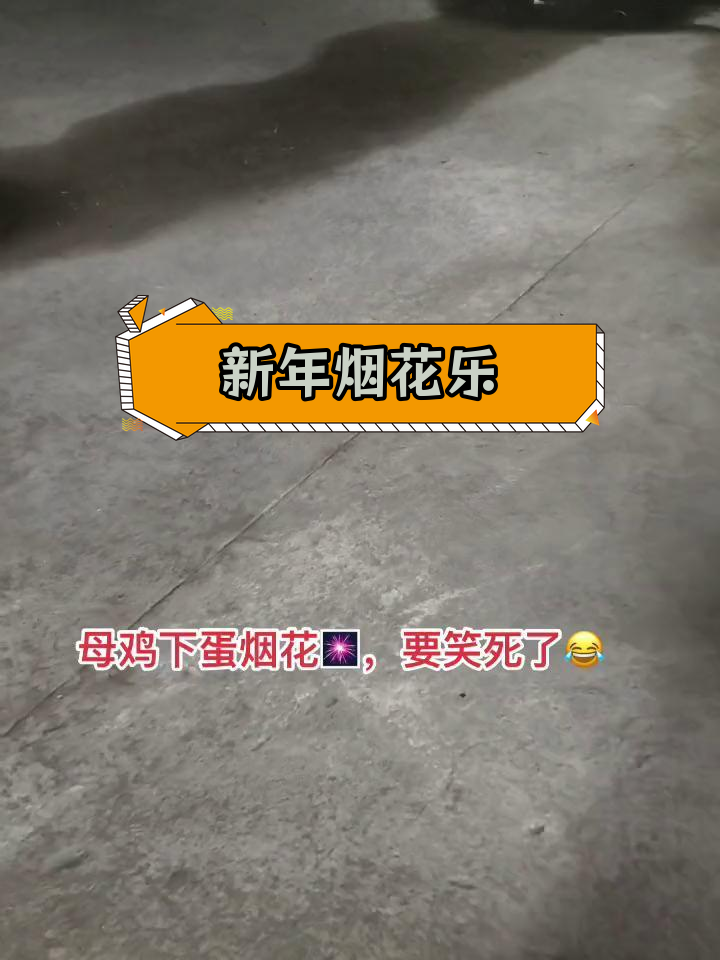 烟花绽放,母鸡下蛋惊喜连连