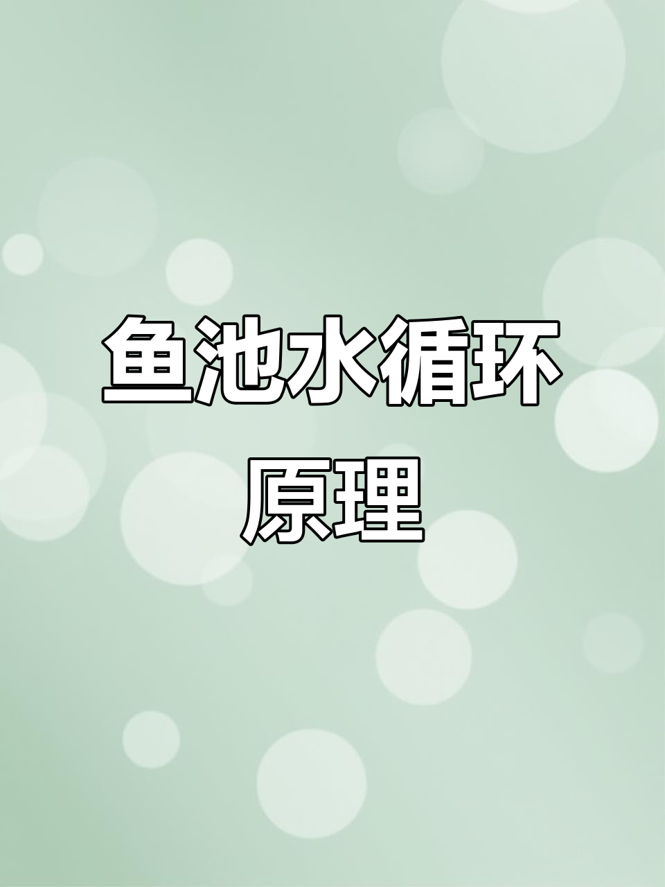 鱼池水循环过滤全解析:如何避免臭水沟