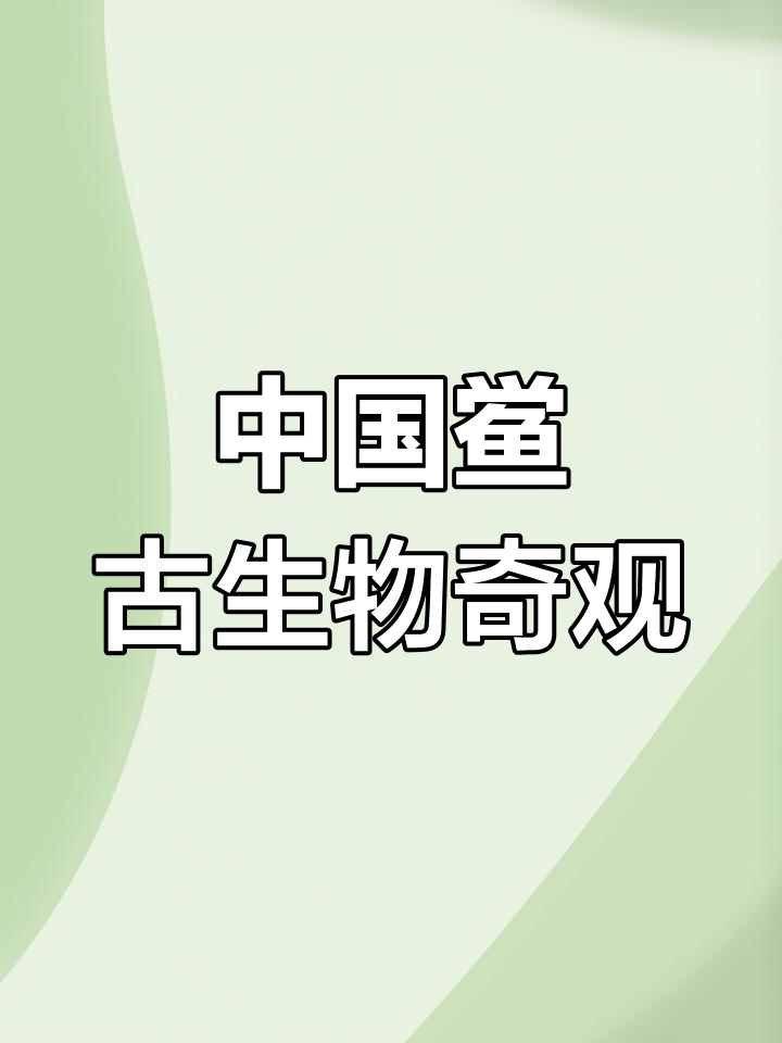 广西海岸的古老活化石:神秘的中国鲎,揭秘它们的奇特生活