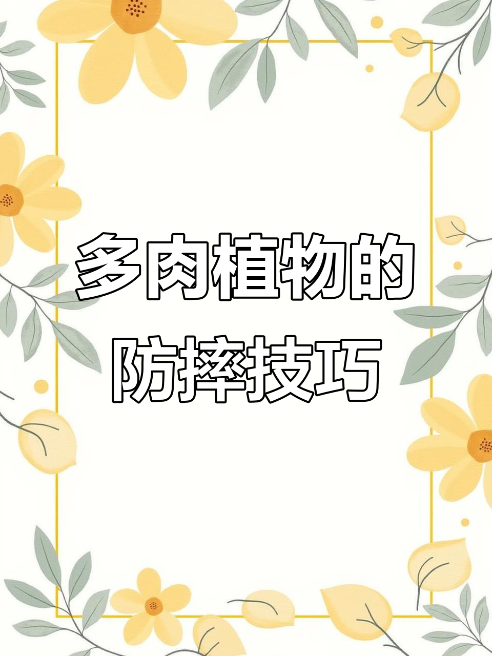 给晚霞多肉植物加根拐杖,防止它摔倒碰瓷