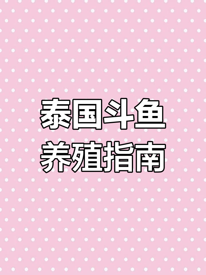 泰国斗鱼与孔雀鱼的饲养技巧,冬季加温注意事项