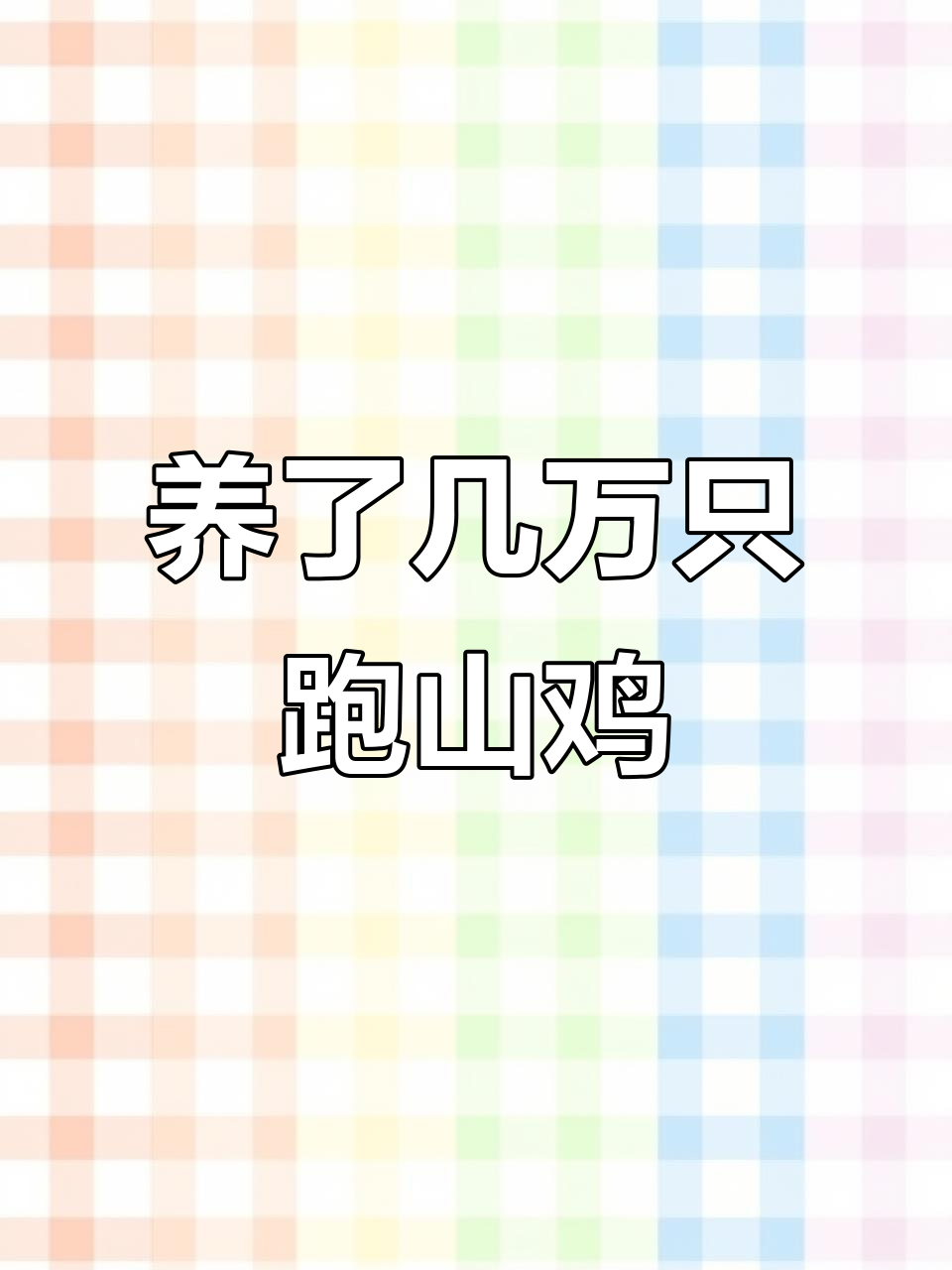 散养土鸡,几万只跑山鸡你见过吗?