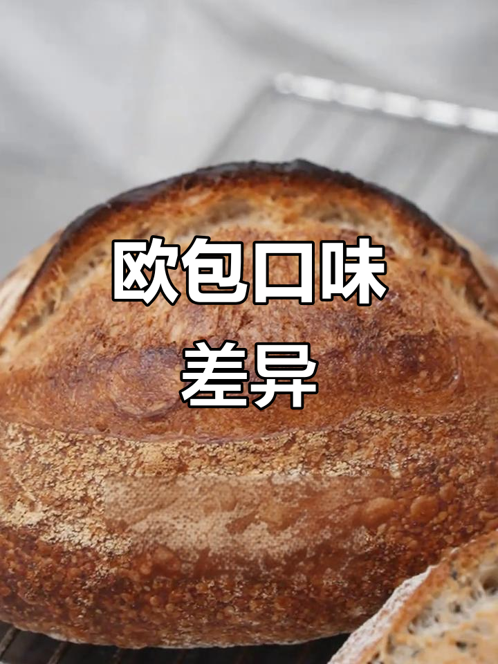 硬欧与软欧,口感大不同!你更偏爱哪一种?