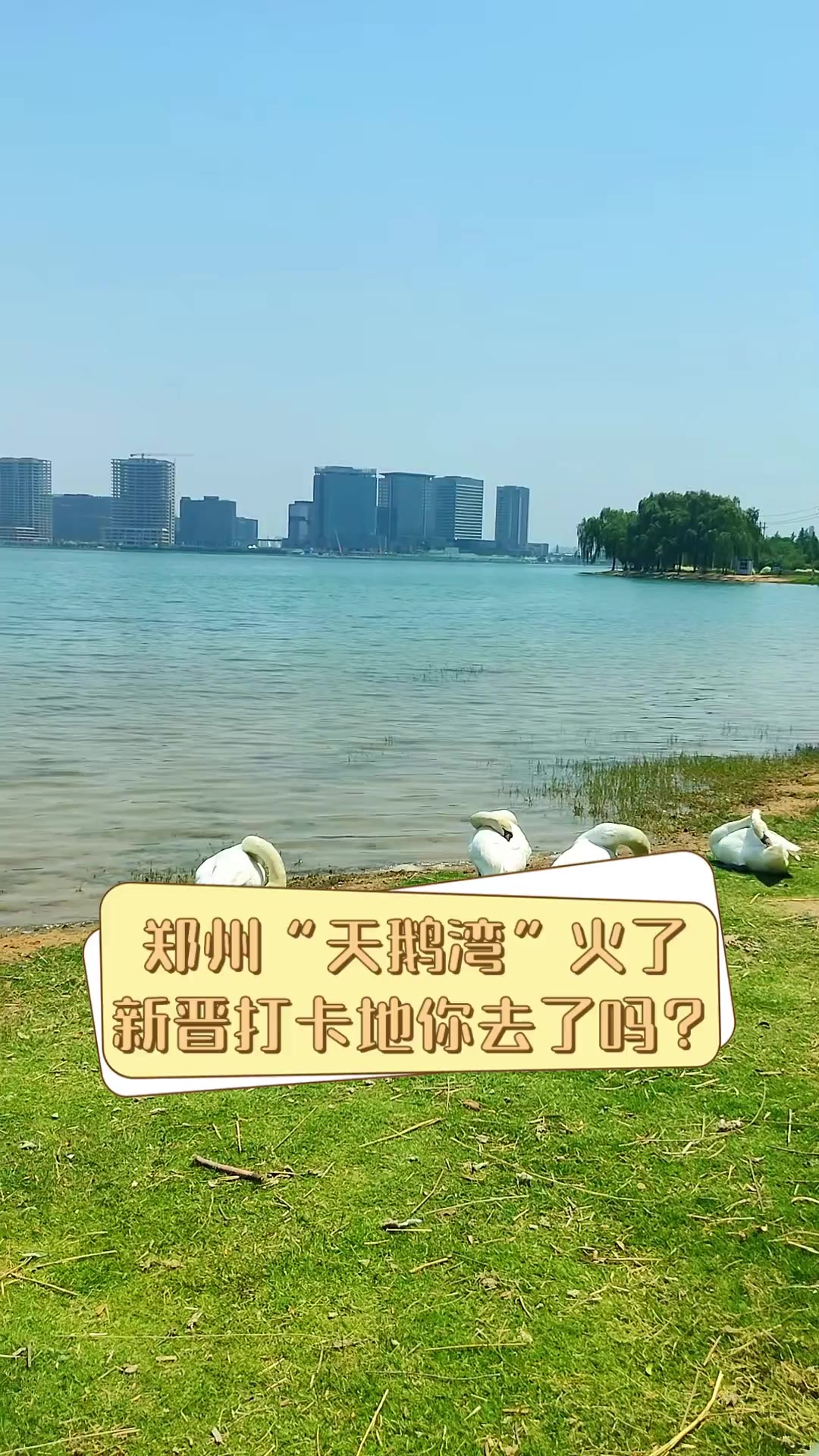 郑州“天鹅湾”火了,新晋打卡地你去了吗?