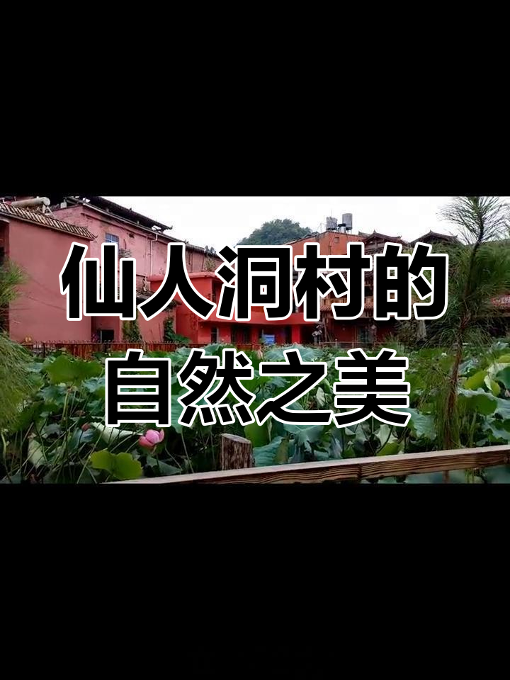 仙人洞村探秘:古寨荷花与多肉植物的奇遇之旅