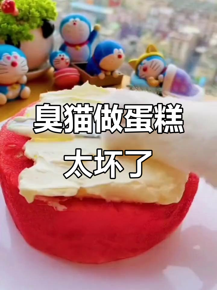 这只猫咪做的红伞散蛋糕,你敢吃吗?