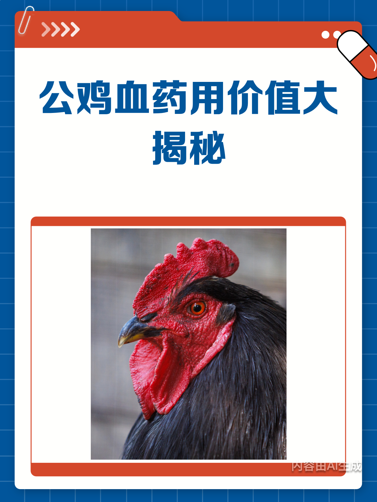 公鸡血真能治病?专家揭秘其药用价值!