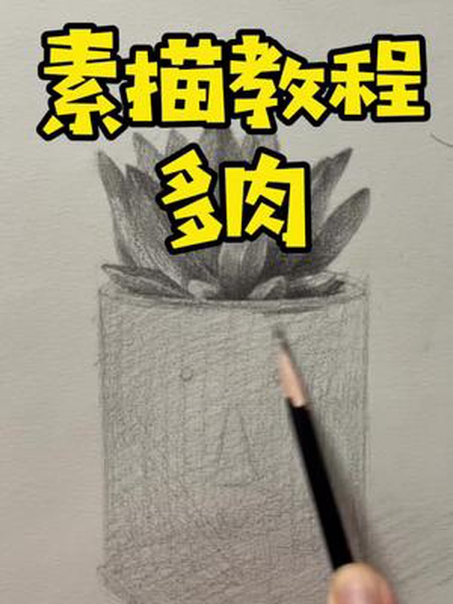 荤素搭配,健康美味简单的素描多肉送给大家 素描植物 素描系列教程