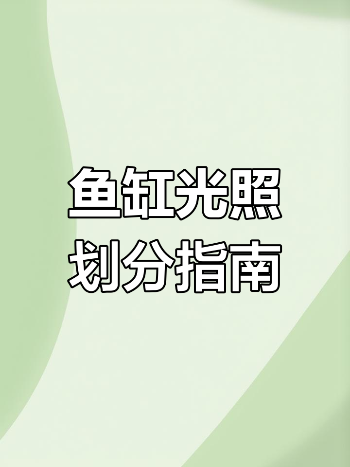 鱼缸光照分布全解析,高光低光一目了然