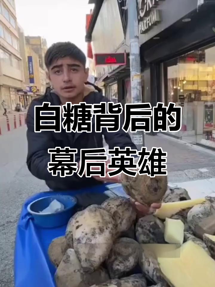 甜菜根竟是白糖的秘密原料,口感像红薯一样让人惊艳