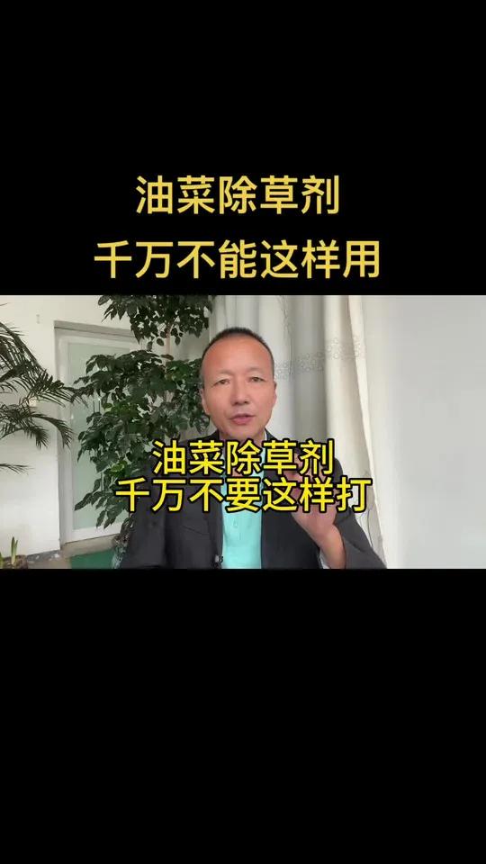 油菜除草剂千万不要这样用 油菜除草剂这样用,可能你一点苗都没有 中海聊农业 油菜除草 勤劳