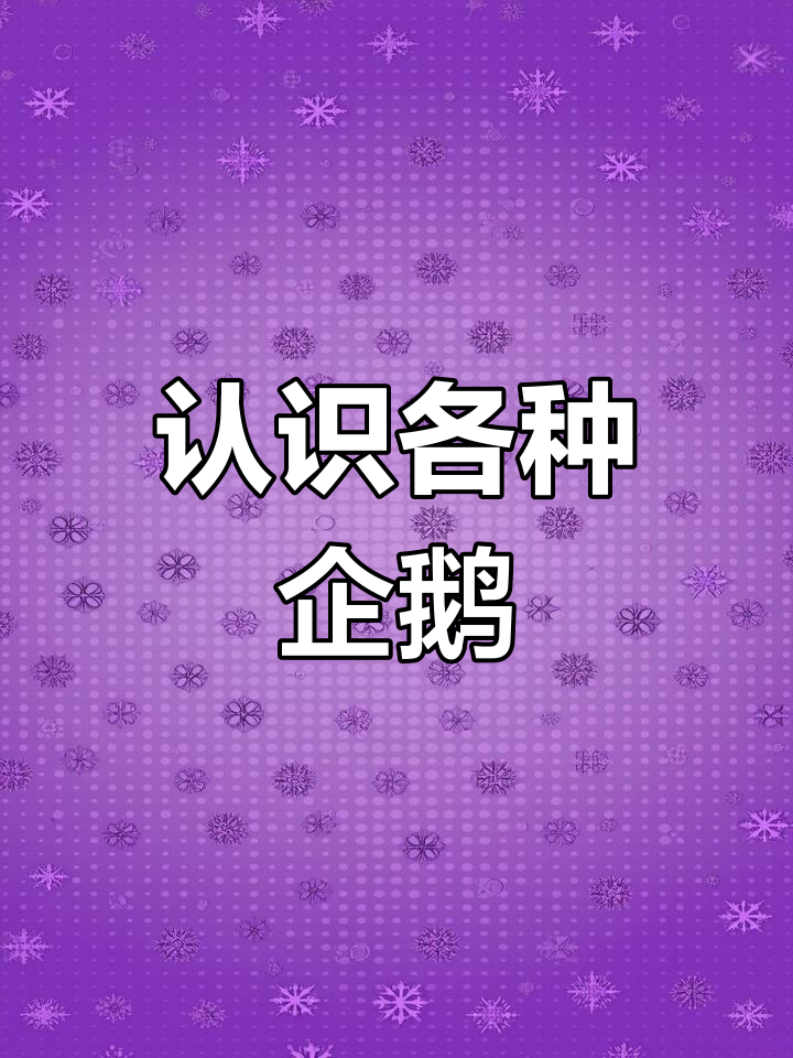企鹅种类大揭秘:从阿德利到绅士