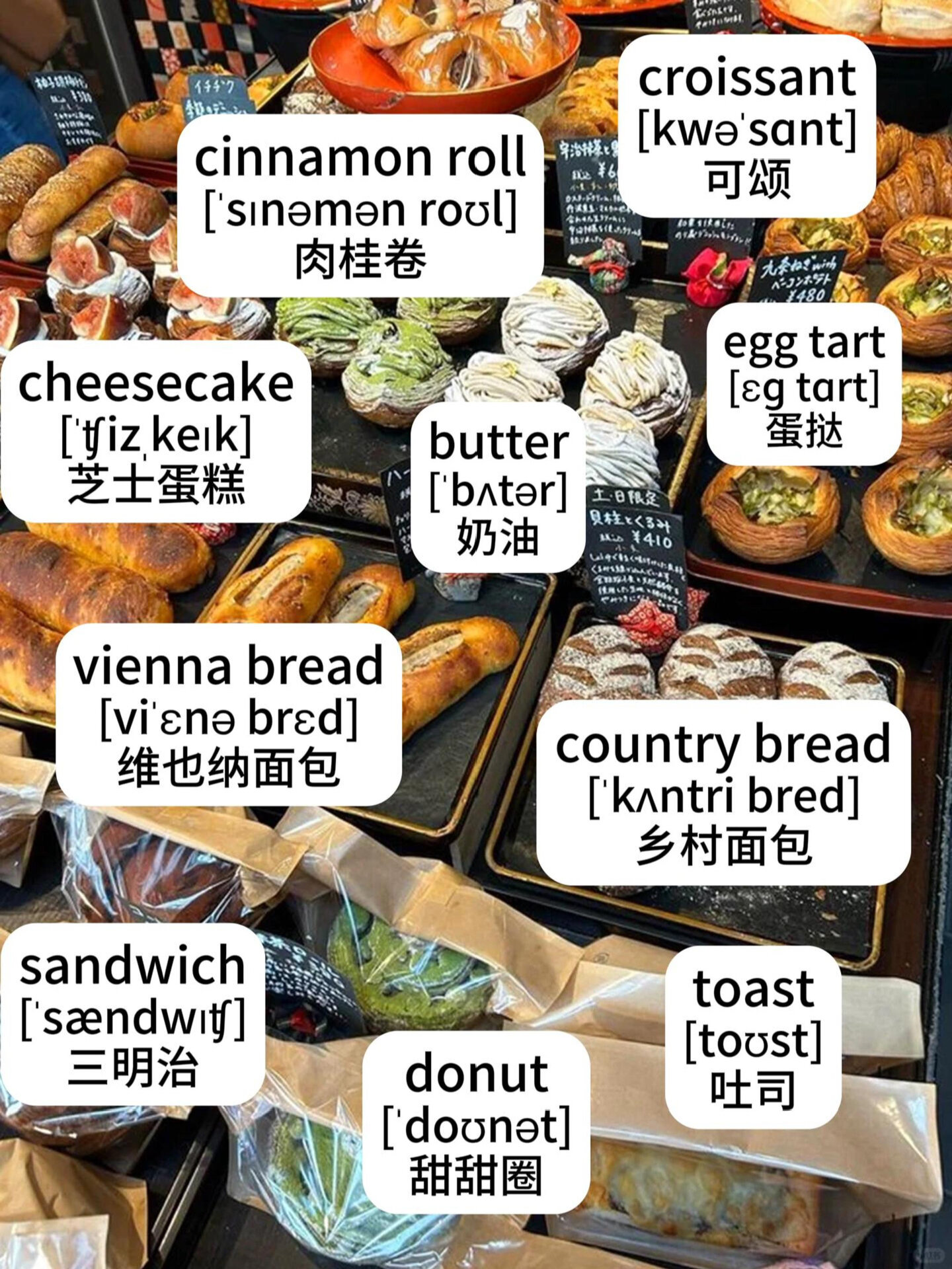 在生活场景中学英语|面包篇|15s速记单词