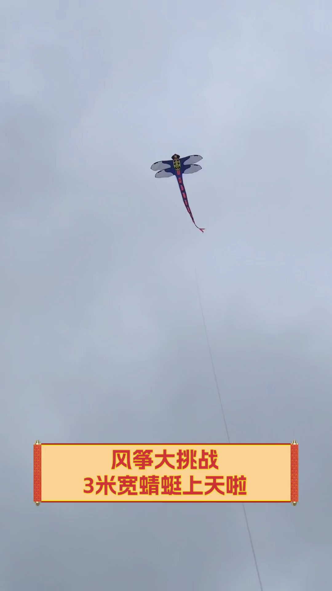 风筝大挑战,3米宽蜻蜓上天啦