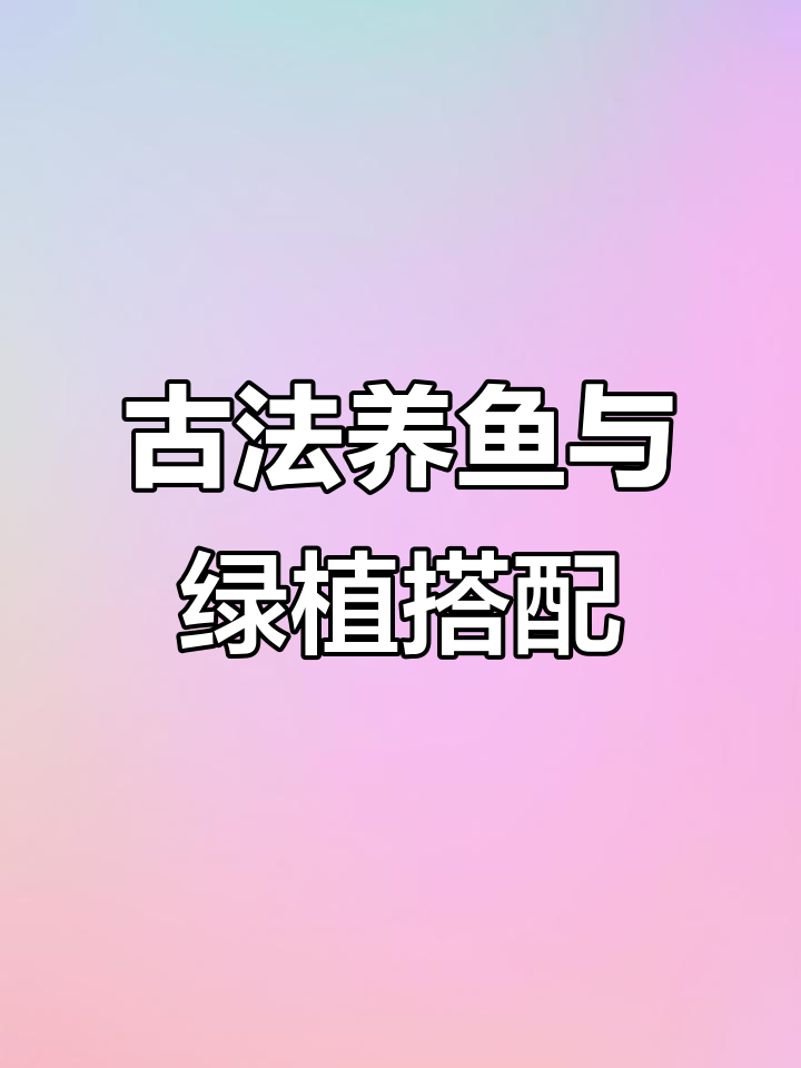 景德镇陶瓷鱼缸古法养鱼,打造东方美学水族环境