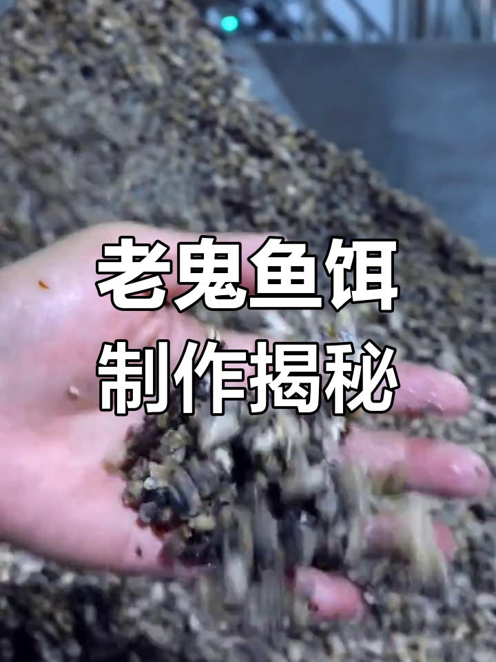 螺肉酶解过程揭秘,如何制作老鬼鱼饵的独特配方