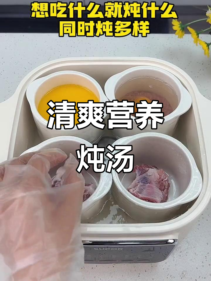 隔水炖汤,清爽不腻,五胆设计满足各种口味