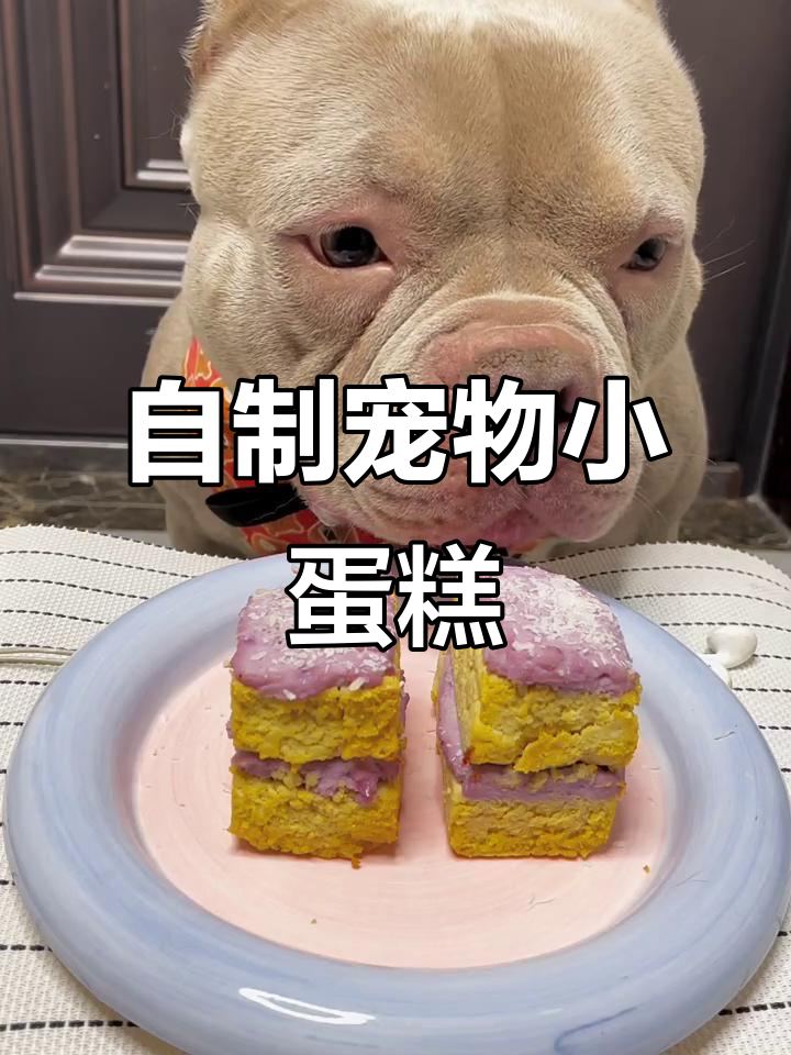 宠物小蛋糕DIY,恶霸犬的甜蜜时光