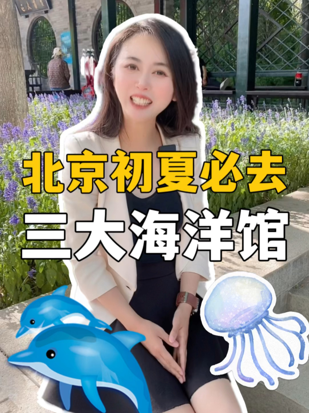 北京夏天必去的三大海洋馆游玩攻略