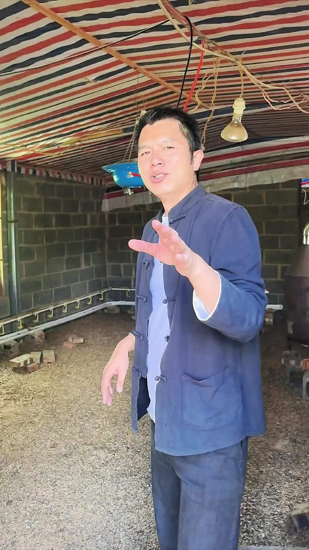 三农 养殖 养鸡 发酵床 花满坡 养殖不臭干撒式发酵床详细制作流程