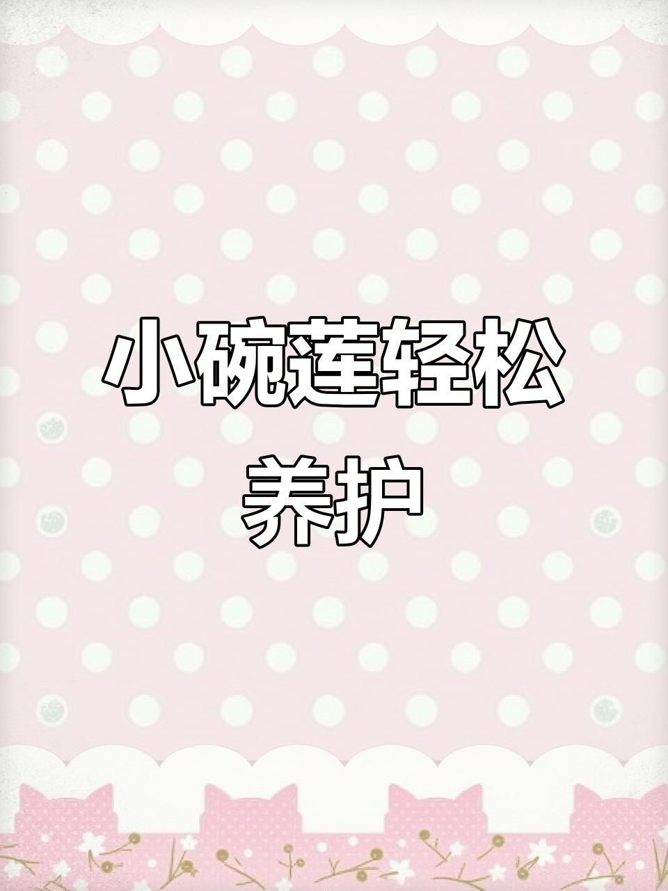 碗莲:小茶杯也能养,四季开花超治愈