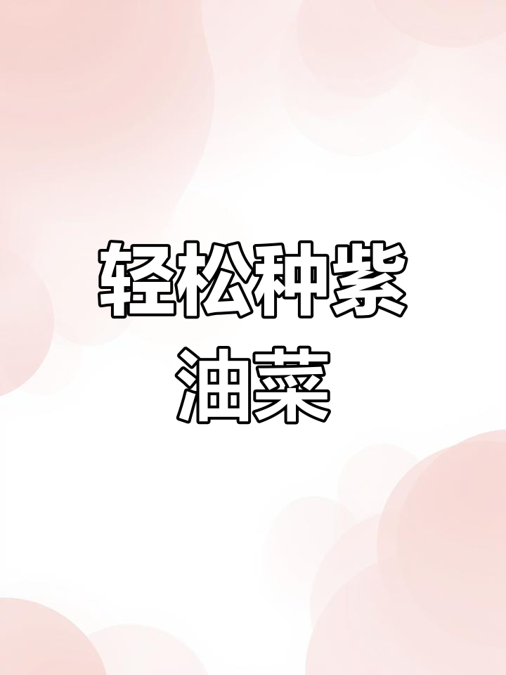 紫油菜:美丽又好吃的紫色蔬菜,种植方法超简单