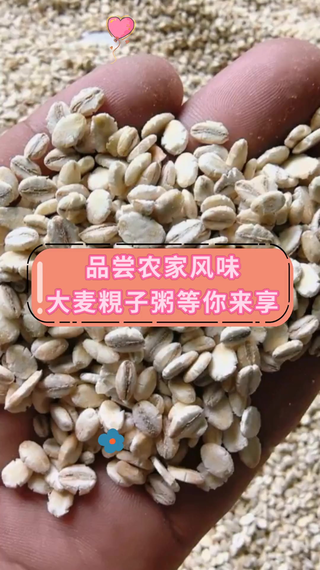 品尝农家风味,大麦粯子粥等你来享