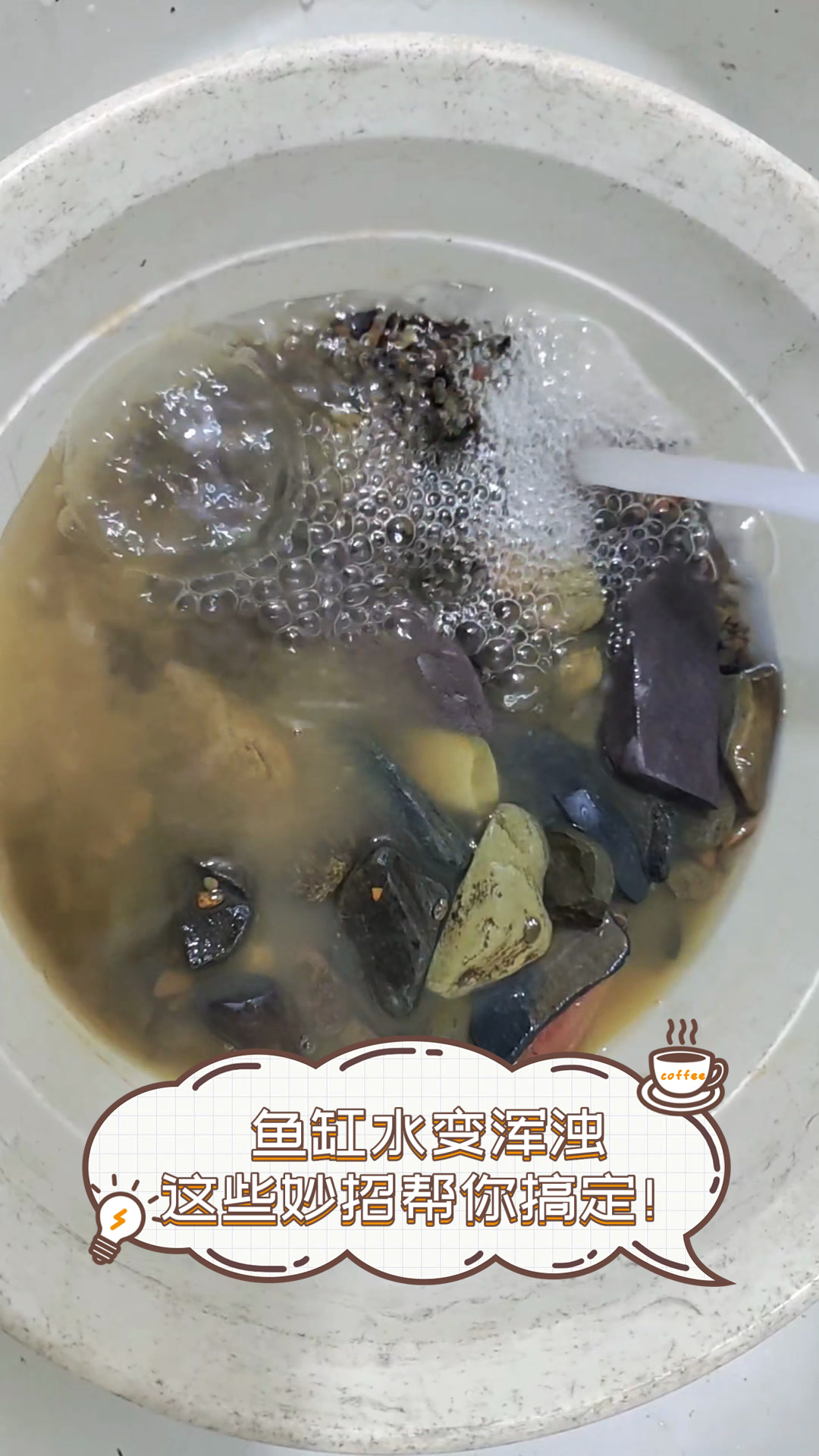 鱼缸水变浑浊,这些妙招帮你搞定!