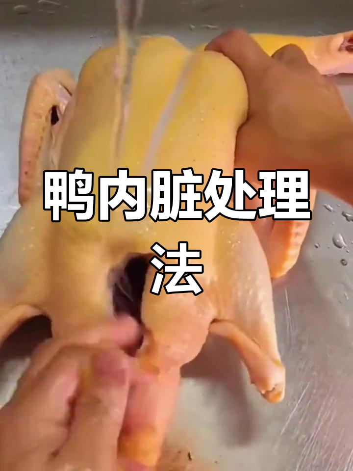 快速清理鸭子内脏技巧