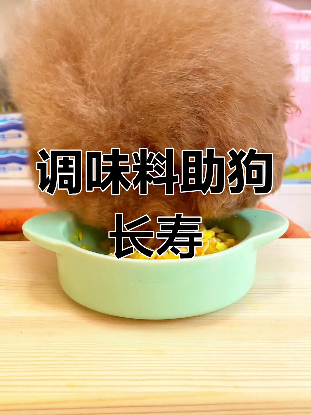 姜黄粉与肉桂粉:提升狗狗健康的关键