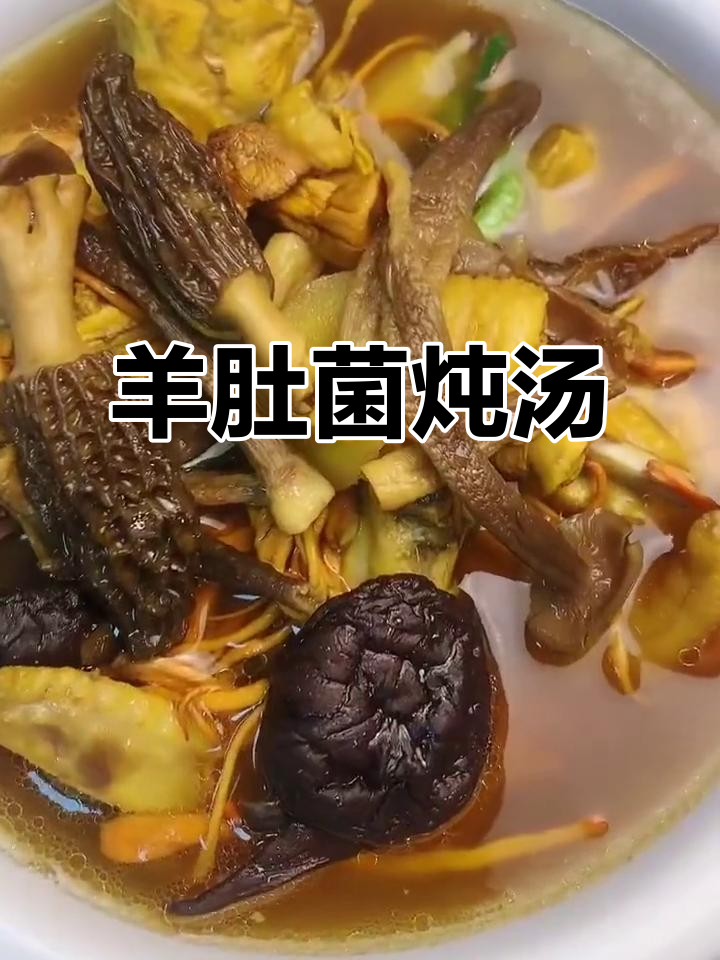 羊肚菌煲汤,鲜美又滋补!鸡、鸭、排骨都能搭配