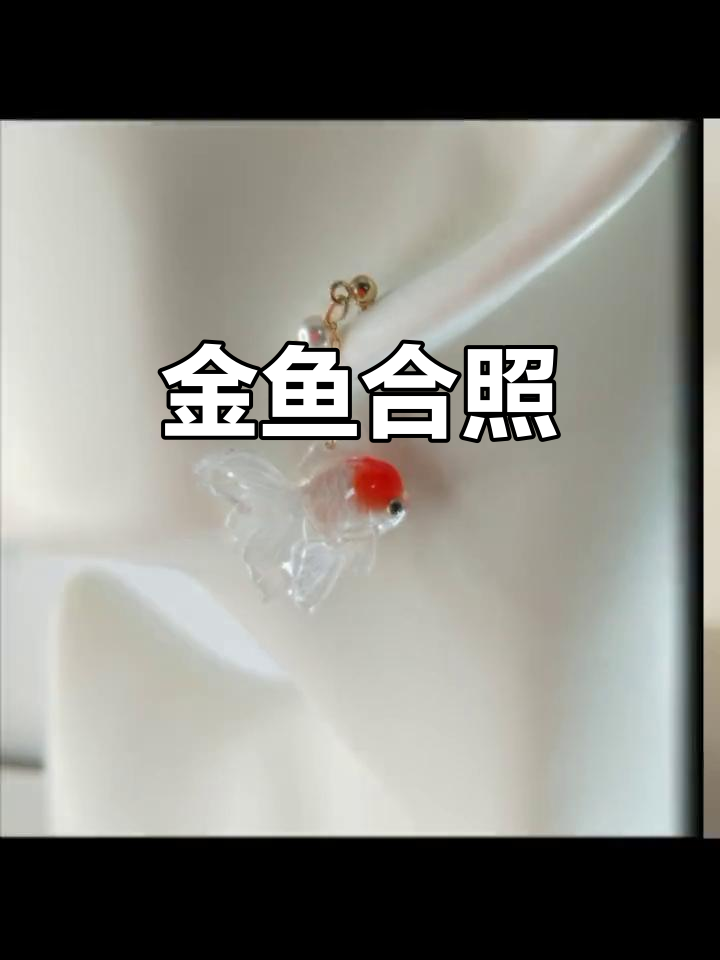 小金鱼照片集,视频制作逐渐敷衍