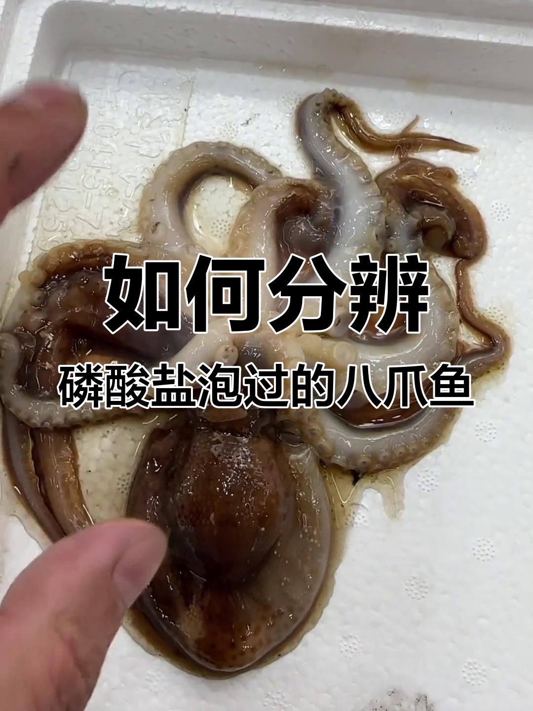 八爪鱼泡磷酸盐的真相,如何辨别真假