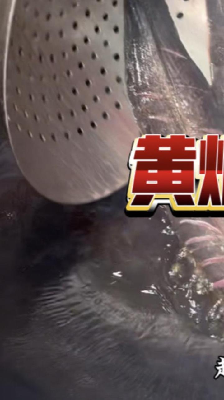 湖南岳阳小罗鱼蟹馆，这种沙鳅鱼你见过吗