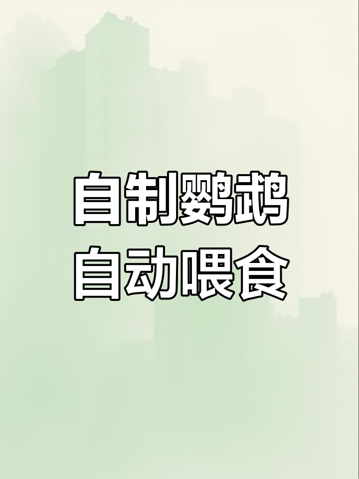 鹦鹉喂食器,偶尔快速吹壳,省时又有趣!