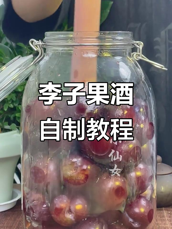 自制李子果酒,简单步骤教你酿出美味低度酒
