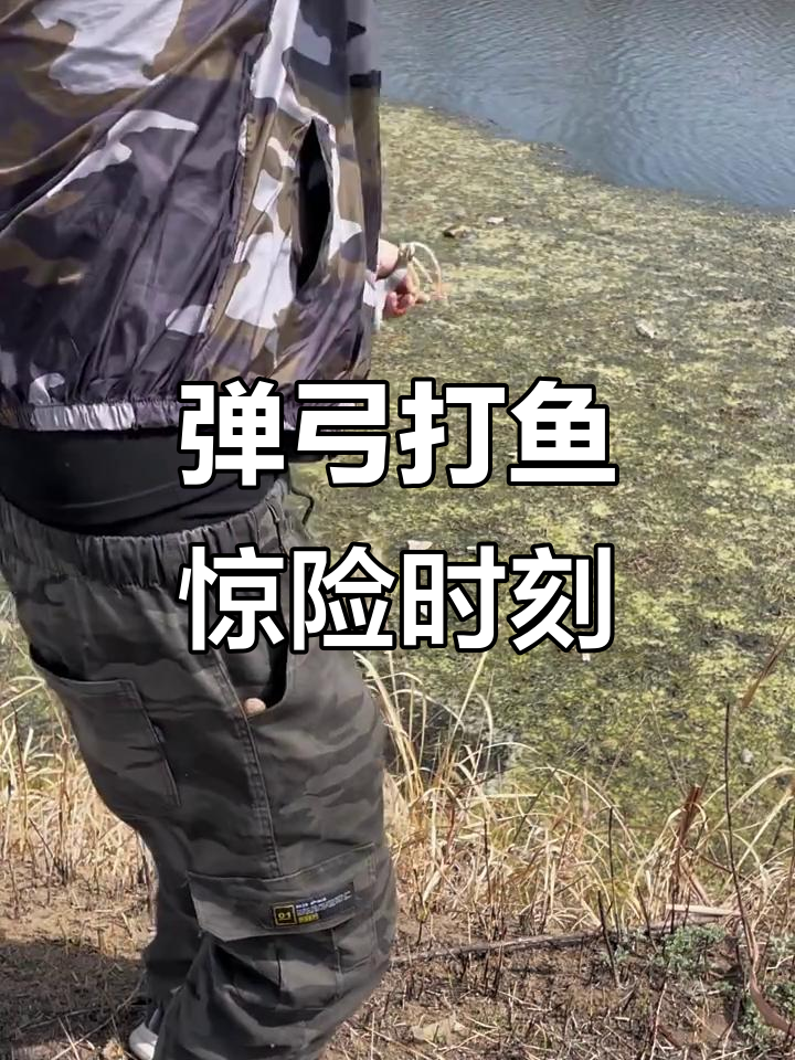 弹弓射鱼挑战,意外连连!