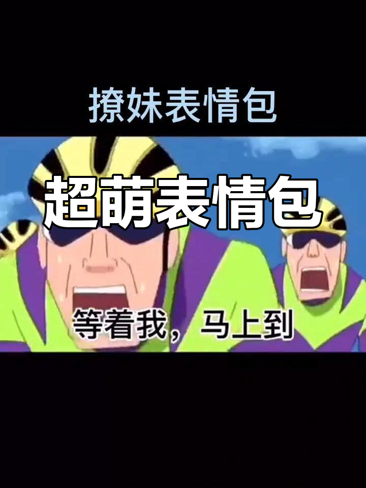 表情包动态展示