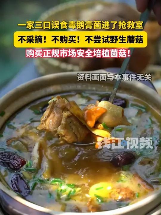 一家三口误食毒鹅膏菌进了抢救室,严重者或导致多器官衰竭!