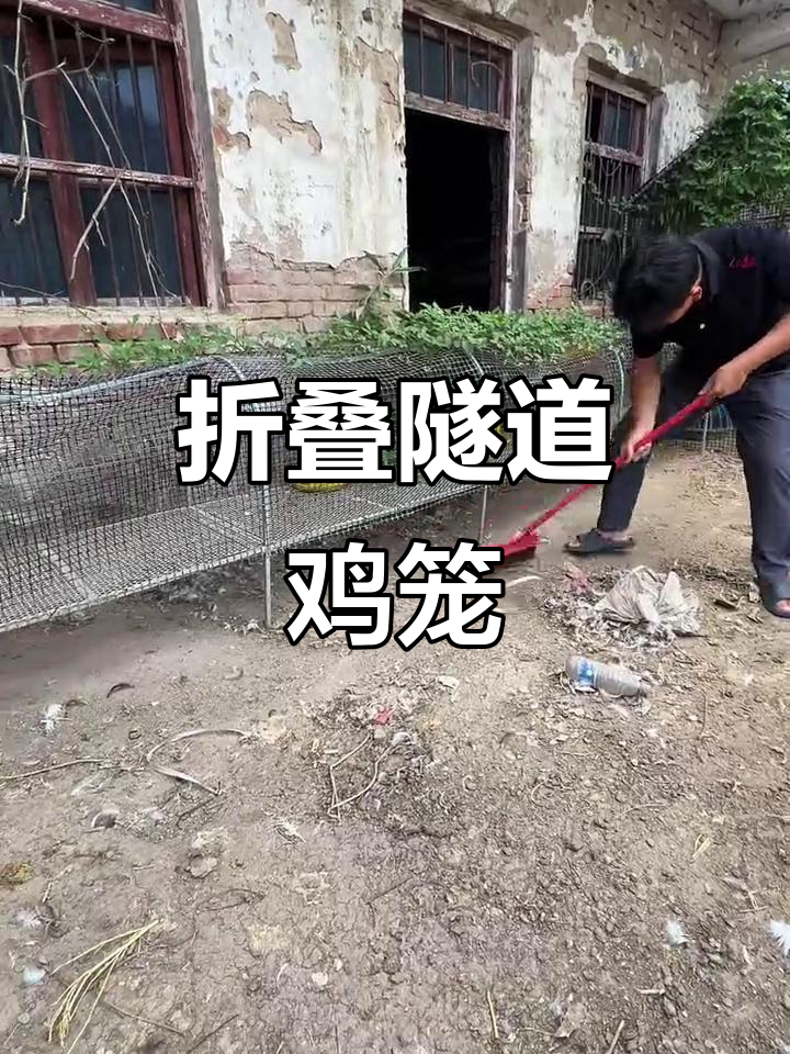 折叠式鸡笼跑道，养殖必备新装备