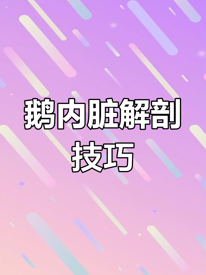 鹅内脏解剖与病变分析,教你如何判断健康与否