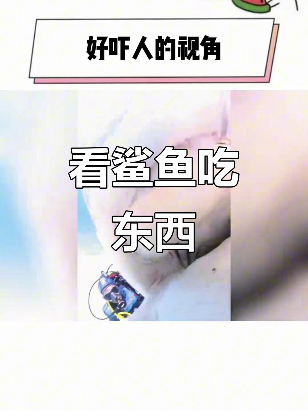 鲨鱼捕食视角大揭秘,竟然能看到它吃饭!
