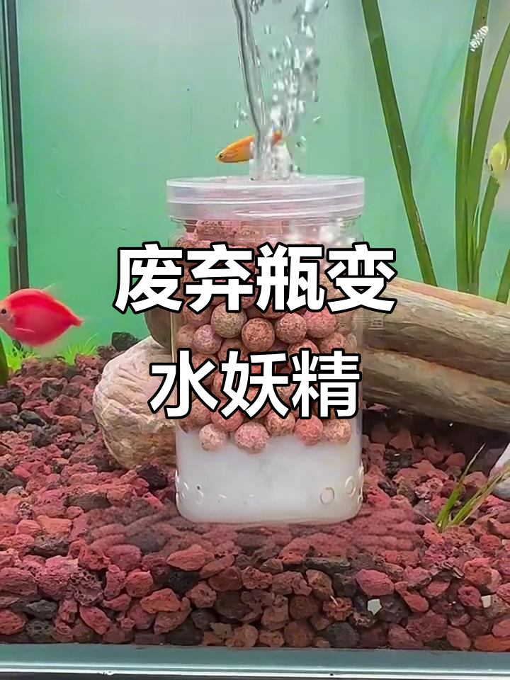 利用废旧小瓶子打造简易鱼缸增氧装置，水质清澈又美观