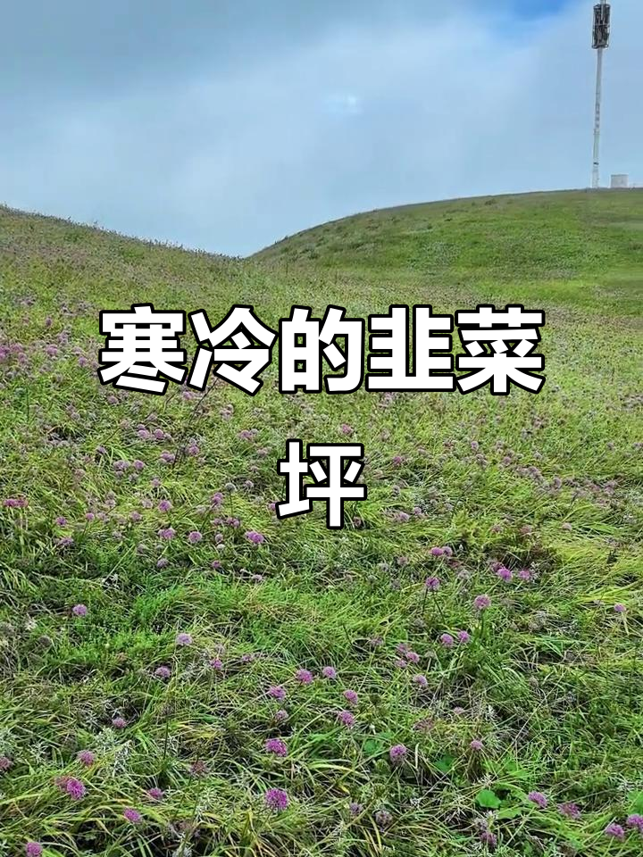 韭菜坪天气寒冷,队友冻得无法登山