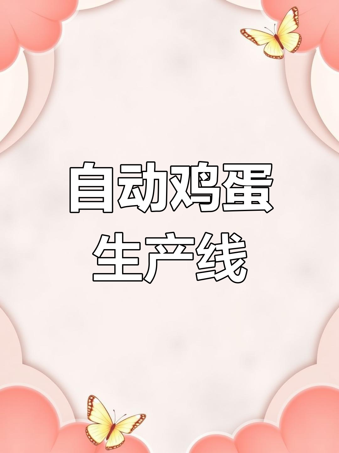 自动化鸡蛋生产线,高效又精准!