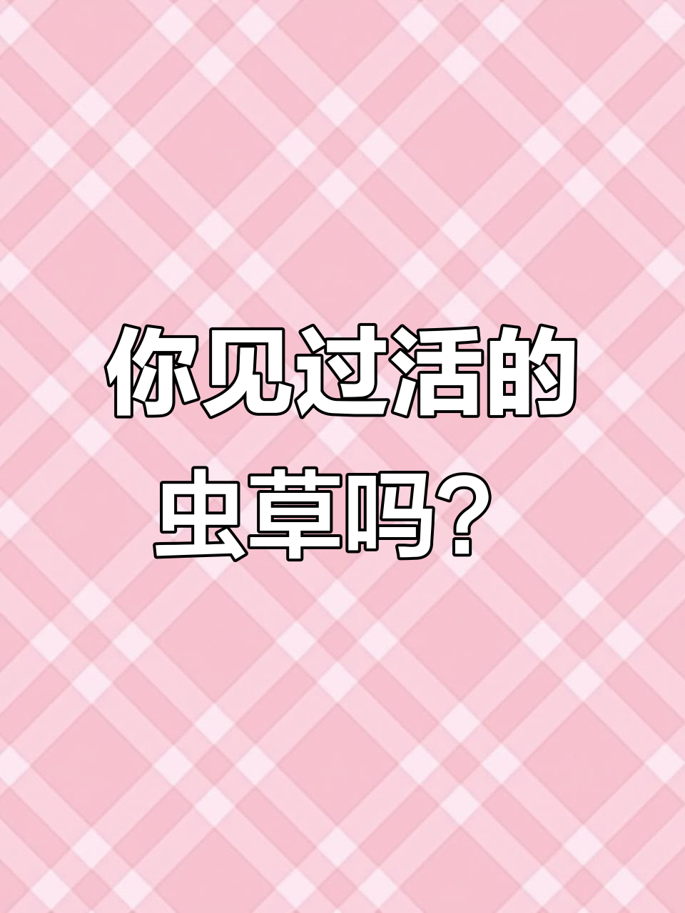 虫草生长全过程揭秘,活体状态下的神奇变化