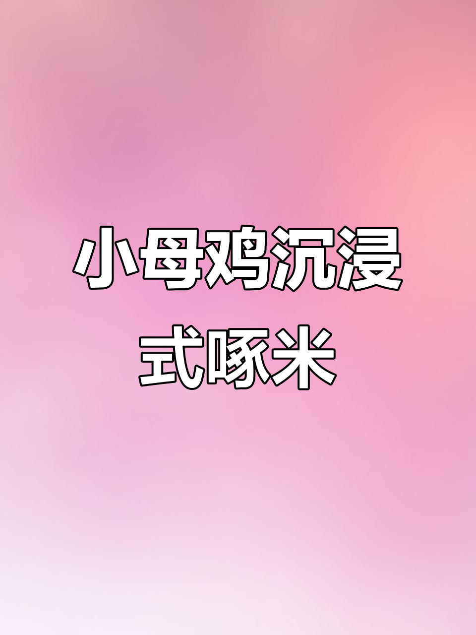 小母鸡啄米太投入,镜头都快被怼了!