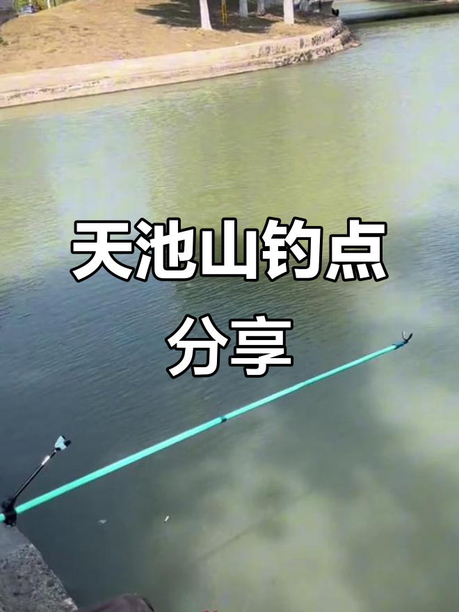 苏州天池山高速旁的钓鱼天堂，小鲫鱼藏匿其中