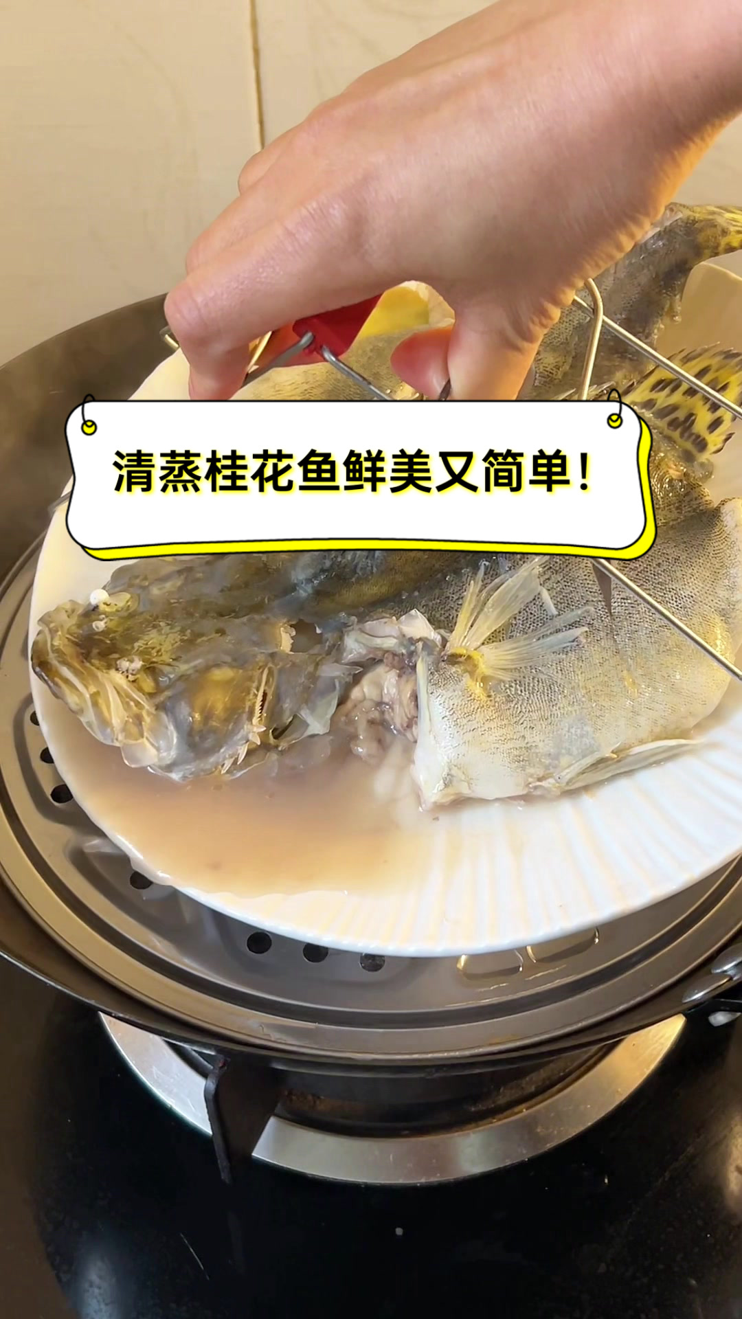 清蒸桂花鱼,鲜美又简单!