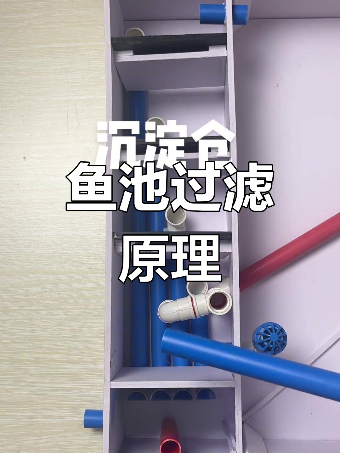 鱼池过滤系统解析:沉淀仓与清洗设计